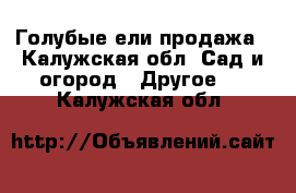 Голубые ели продажа - Калужская обл. Сад и огород » Другое   . Калужская обл.